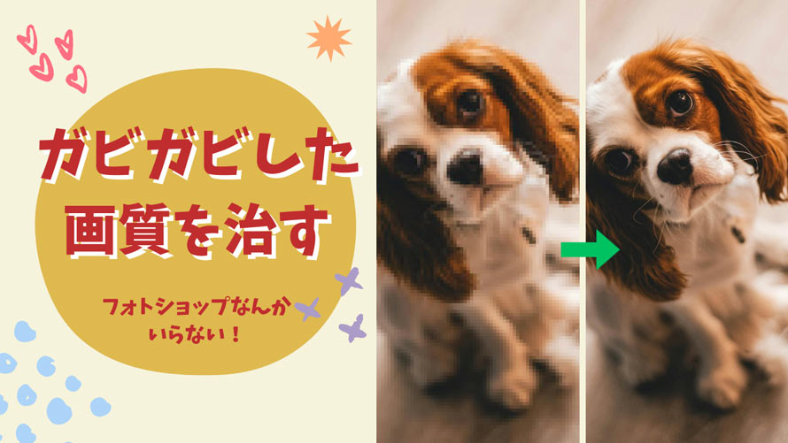 �K�r�K�r�����掿���������@