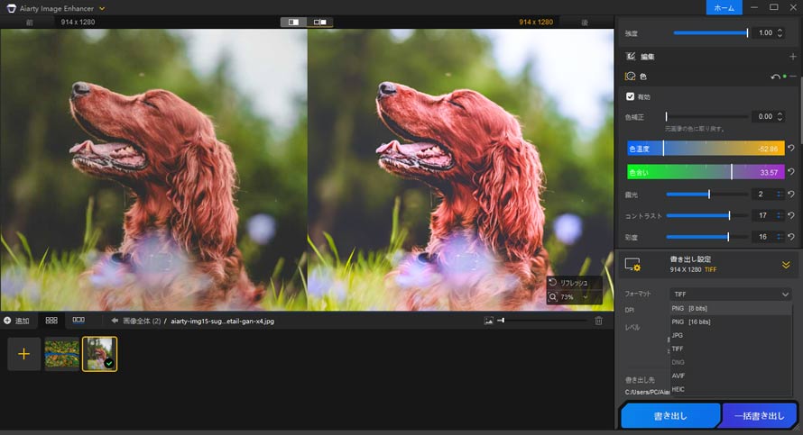 RAW現像ソフト:Aiarty Image Enhancer