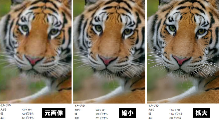 Aiarty Image Enhancerで画像のピクセルを拡大・縮小する