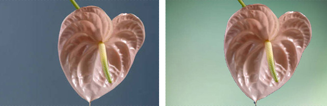 Photoshopで背景色を変更する応用テクニック