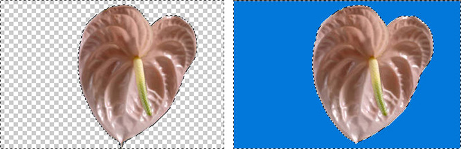 Photoshopで背景色を変更する応用テクニック