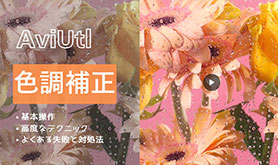 AviUtl F␳