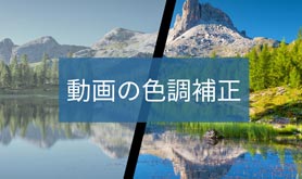  F␳