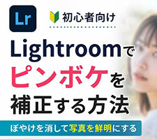 Lightroom�s���{�P�␳