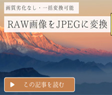 RAW画像をJPEGに変換