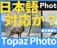 Topaz Photo AI 日本語対応か