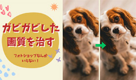 �K�r�K�r�����掿������