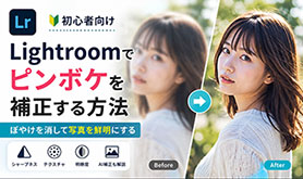Lightroom �s���{�P�␳