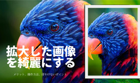 g債摜Yɂ