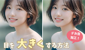 �ڂ�傫��������@