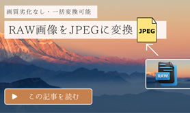RAW JPEG�ϊ�