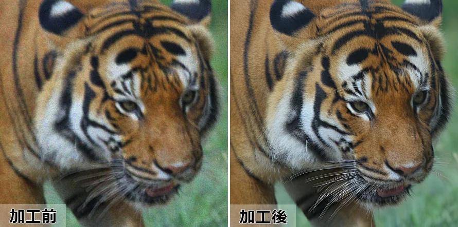 Aiarty Image Enhancerで処理前後の画像