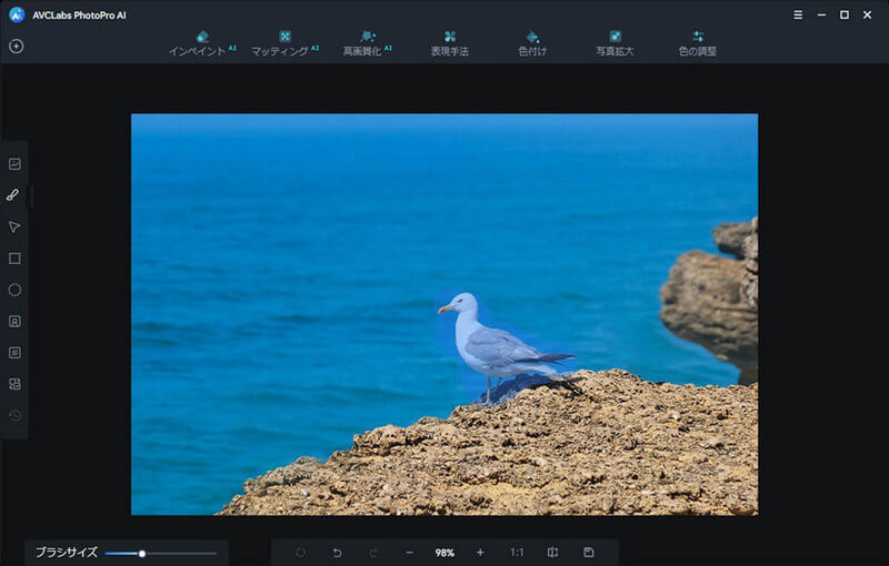 AVCLabs PhotoPro AIのスクリーンショット