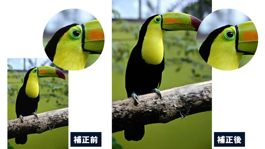 Canvaで解像度を上げた画像の比較