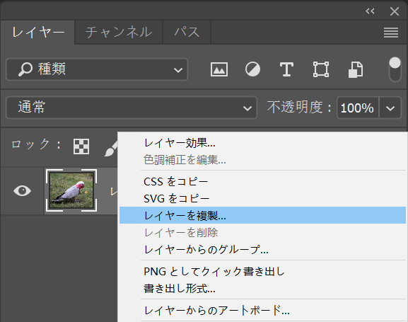 photoshop ���A������