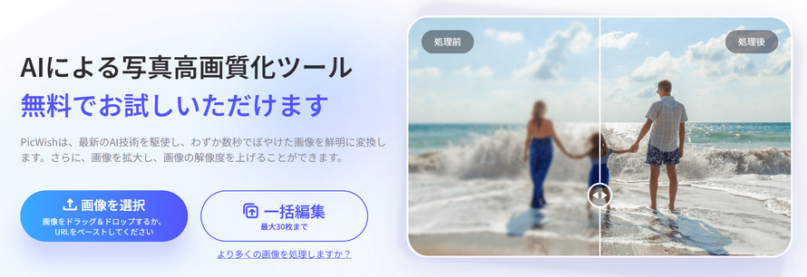 �掿��ǂ�����T�C�gPicWish�i�s�N�E�B�b�V���j