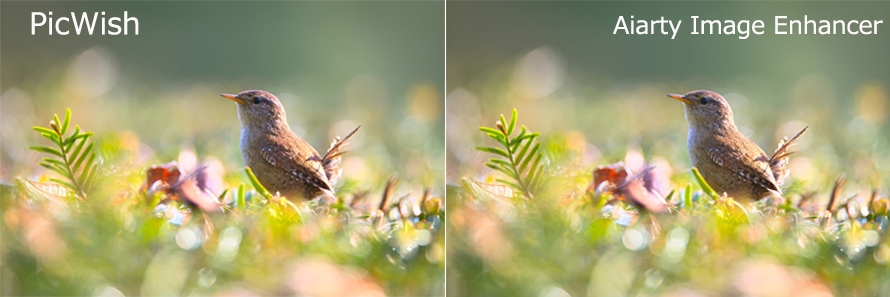 PicWish vs Aiarty Image Enhancer