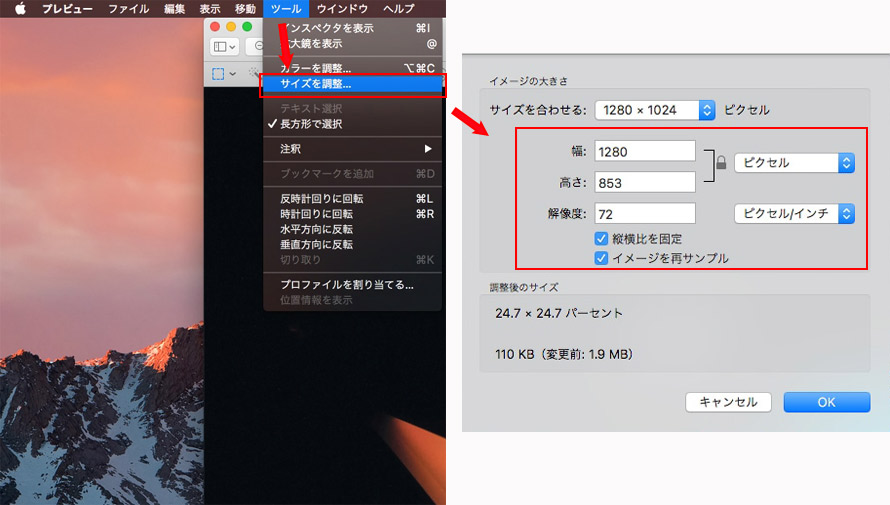 摜TCY