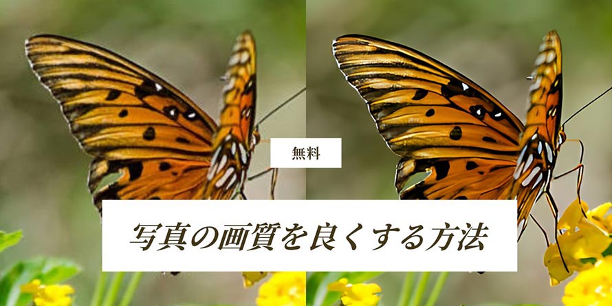 写真の画質を良くする