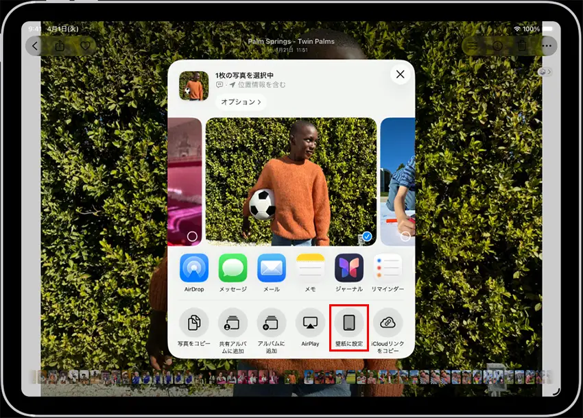 iPad�ǎ������掿�ɐݒ肷����@