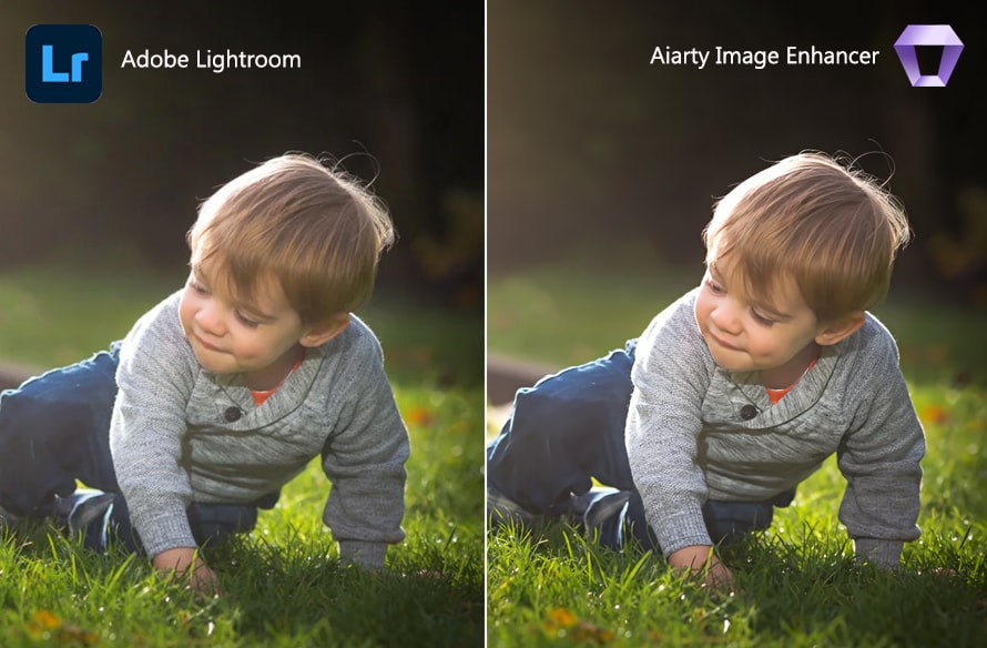 Lightroom���掿��