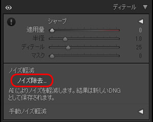 Lightroomでノイズ除去