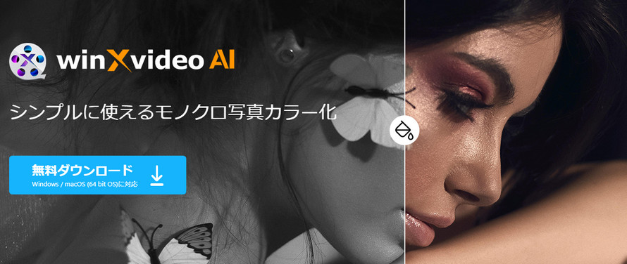 Âʐ^C\tgWinxvideo AI