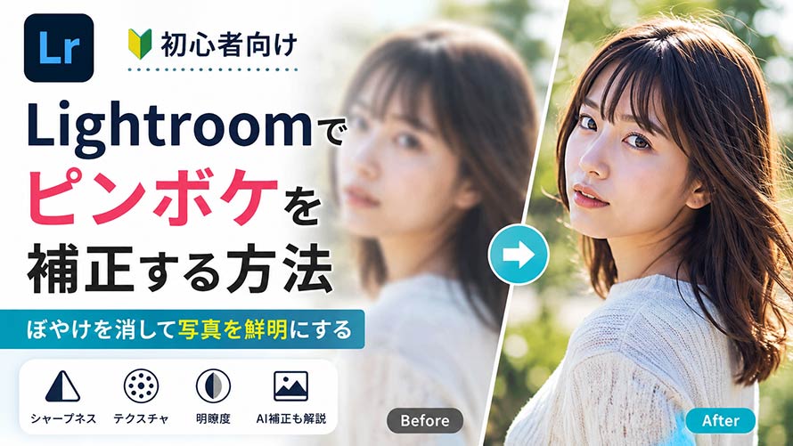Lightroom �s���{�P�␳