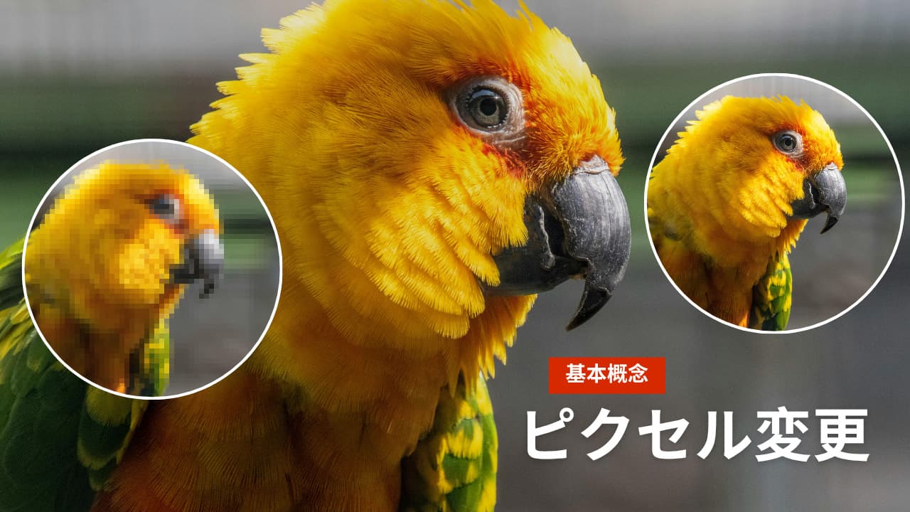 �s�N�Z���ύX