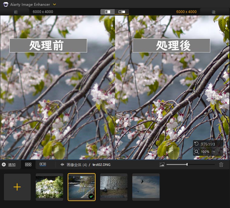 RAW画像をJPEGに変換