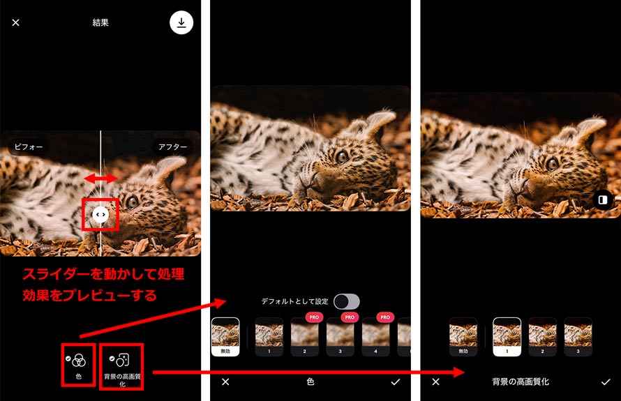 �X�}�z��Remini�𖳗��Ŏg�����@STEP3~4