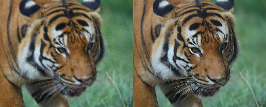 Aiarty Image Enhancer�i�␳�O/�␳��j