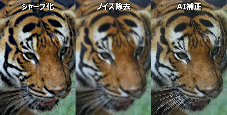�r���摜�̕␳���ʂ̔�r