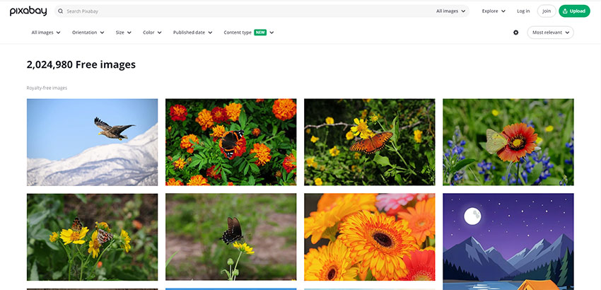 ���掿�摜�_�E�����[�h�T�C�g