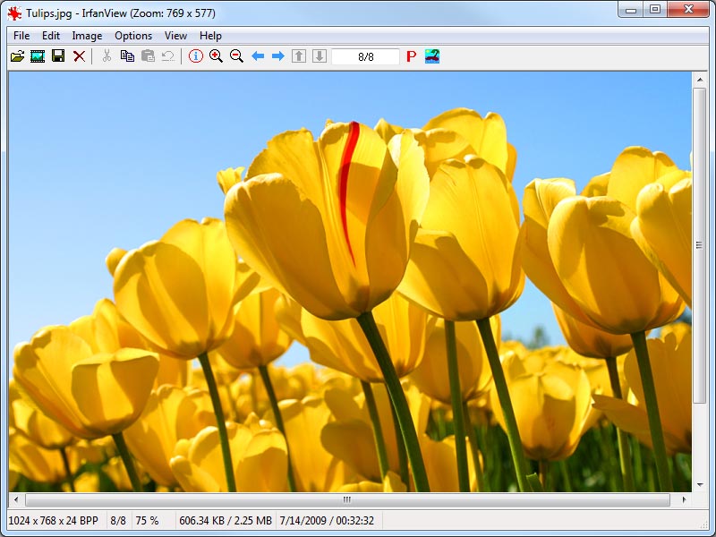 WEBP JPG�ϊ��t���[�\�t�gIrfanView