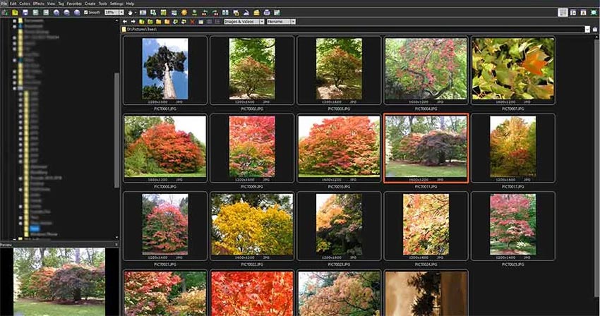 WEBP JPG�ϊ��t���[�\�t�gFastStone Image Viewer