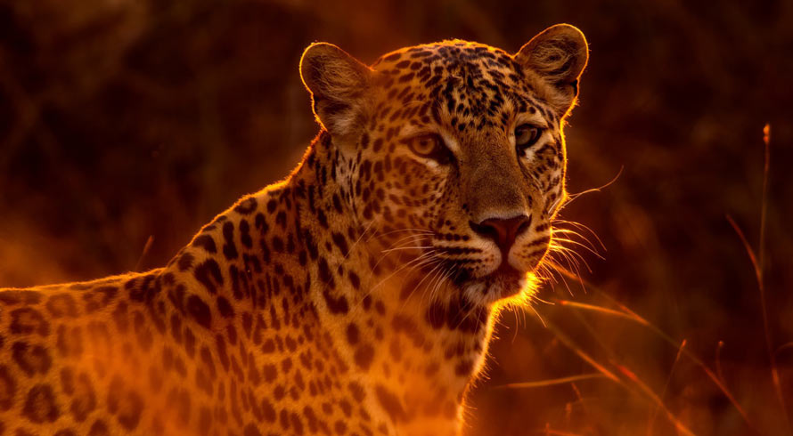 HDR �t���B�e