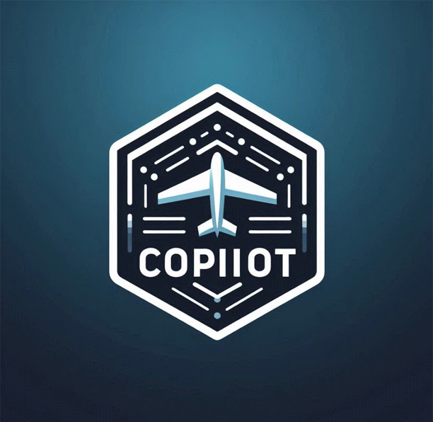 Copilot摜