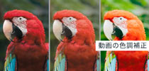 Aiarty Video Enhancer̐F␳