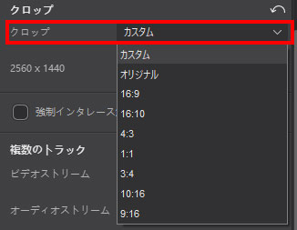 Aiarty Video Enhancer動画のクロップ