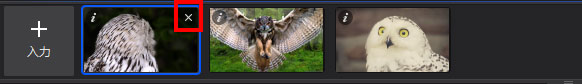 Aiarty Video Enhancer画像削除