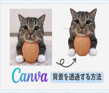 Canvaŉ摜𓧉߂@