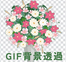 GIF背景透過