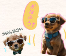 スタンプの作り方