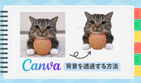 Canva wi