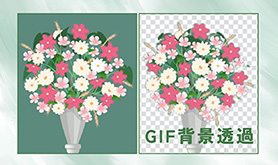 GIFwi