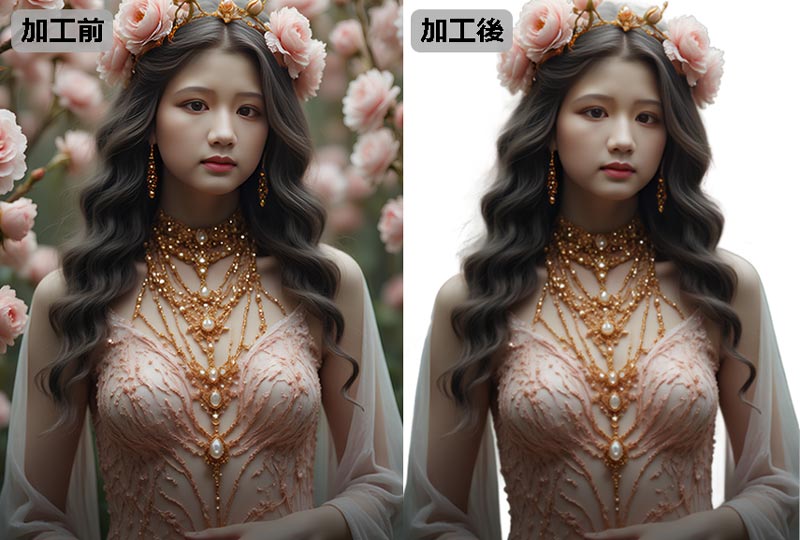 Aiarty Image MattingŔ摜쐬@