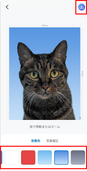犬の証明写真を作成する方法