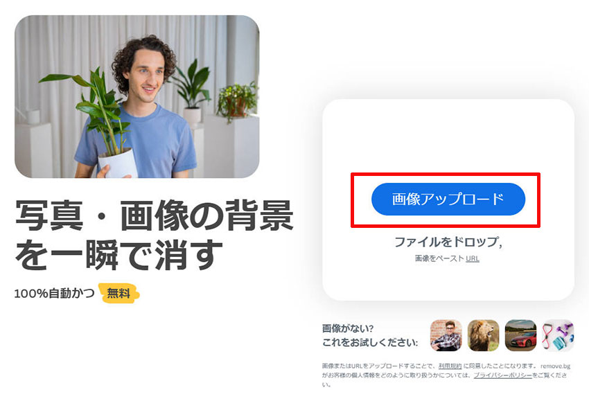 remove.bgで画像の背景を切り抜く