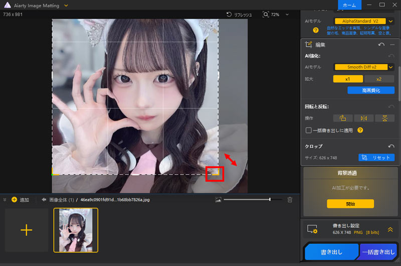 Aiarty Image Mattingを使ってSNSをアイコンを作る